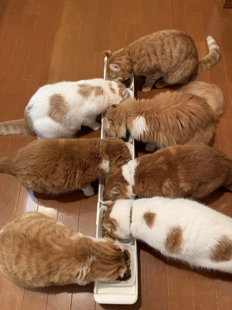 ユーザー写真