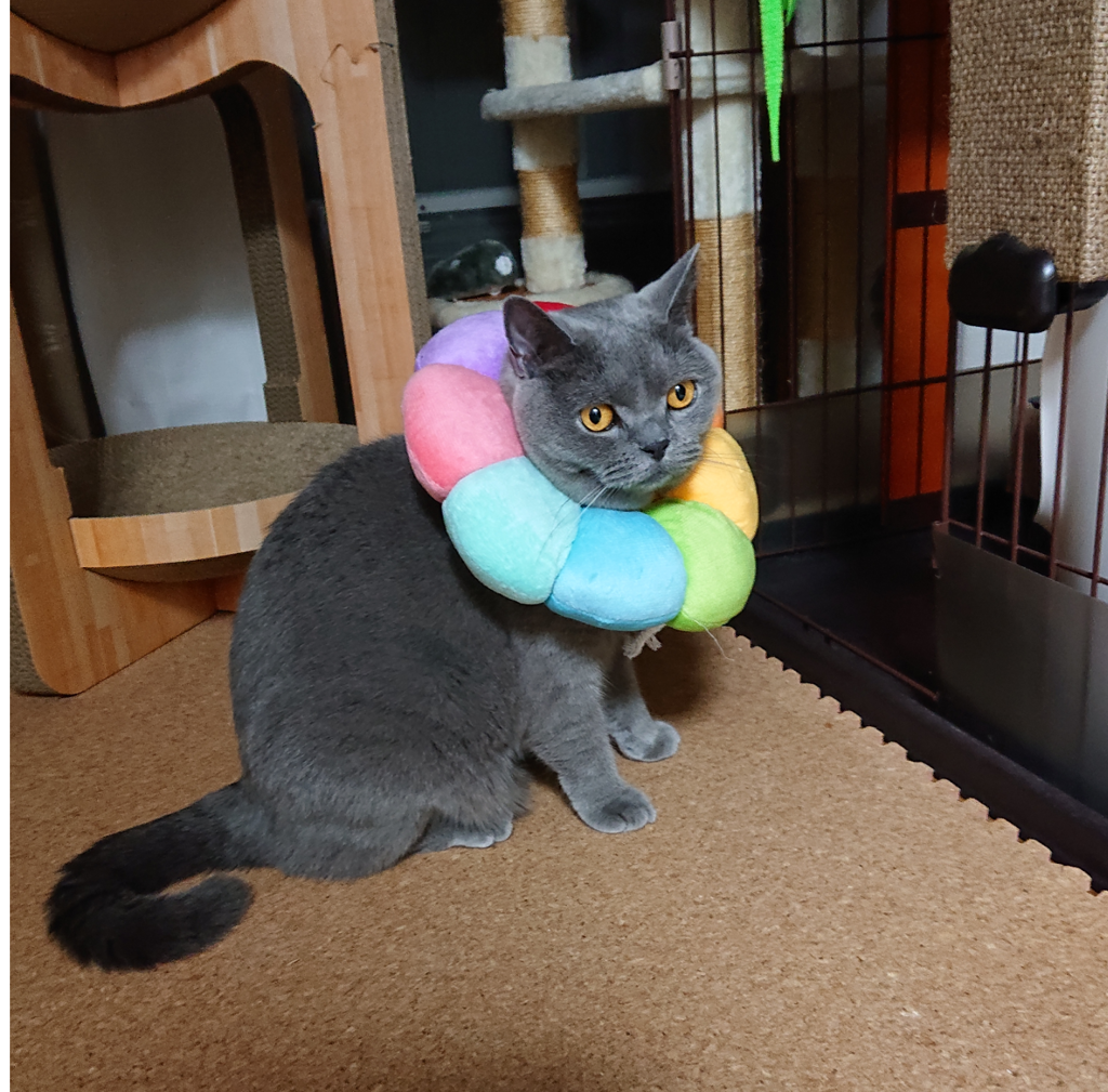ユーザー写真