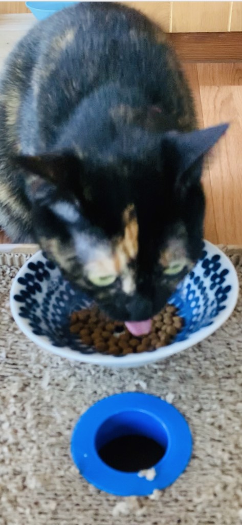 ユーザー写真