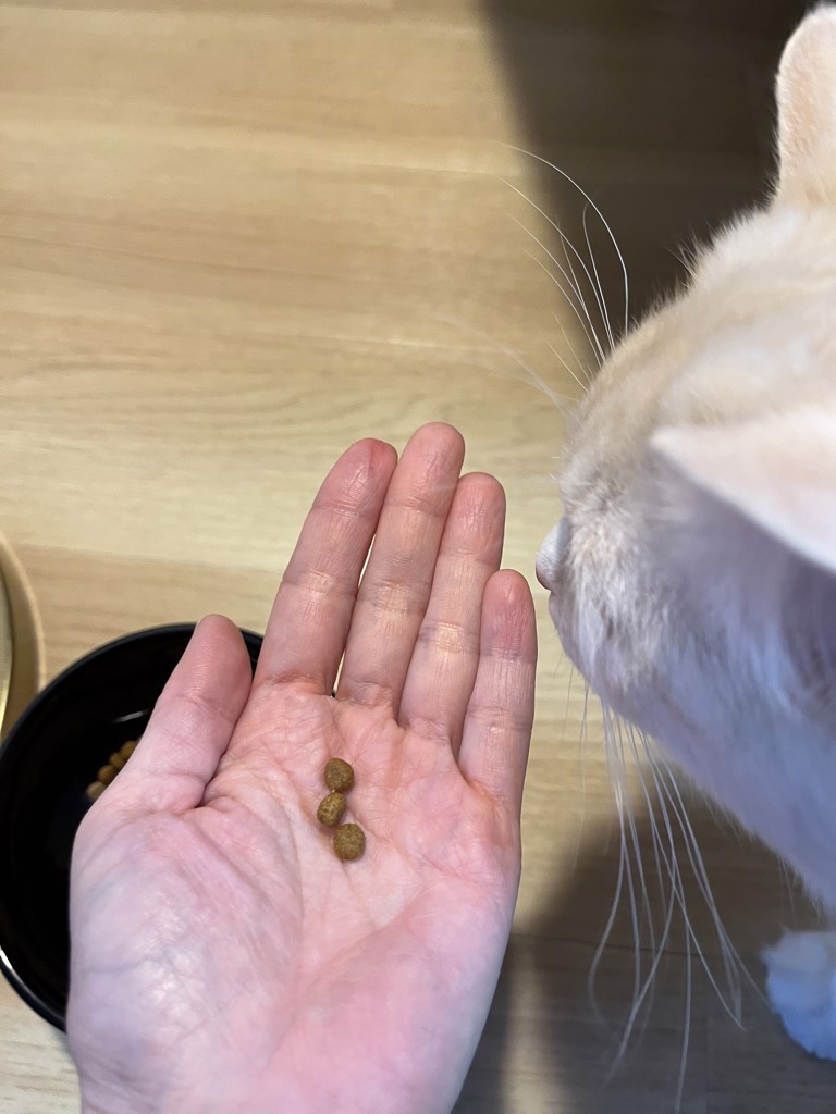 ユーザー写真