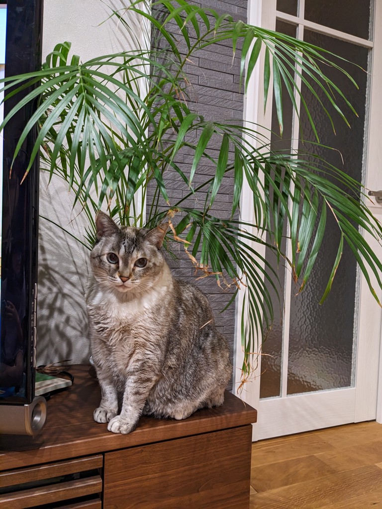 ユーザー写真