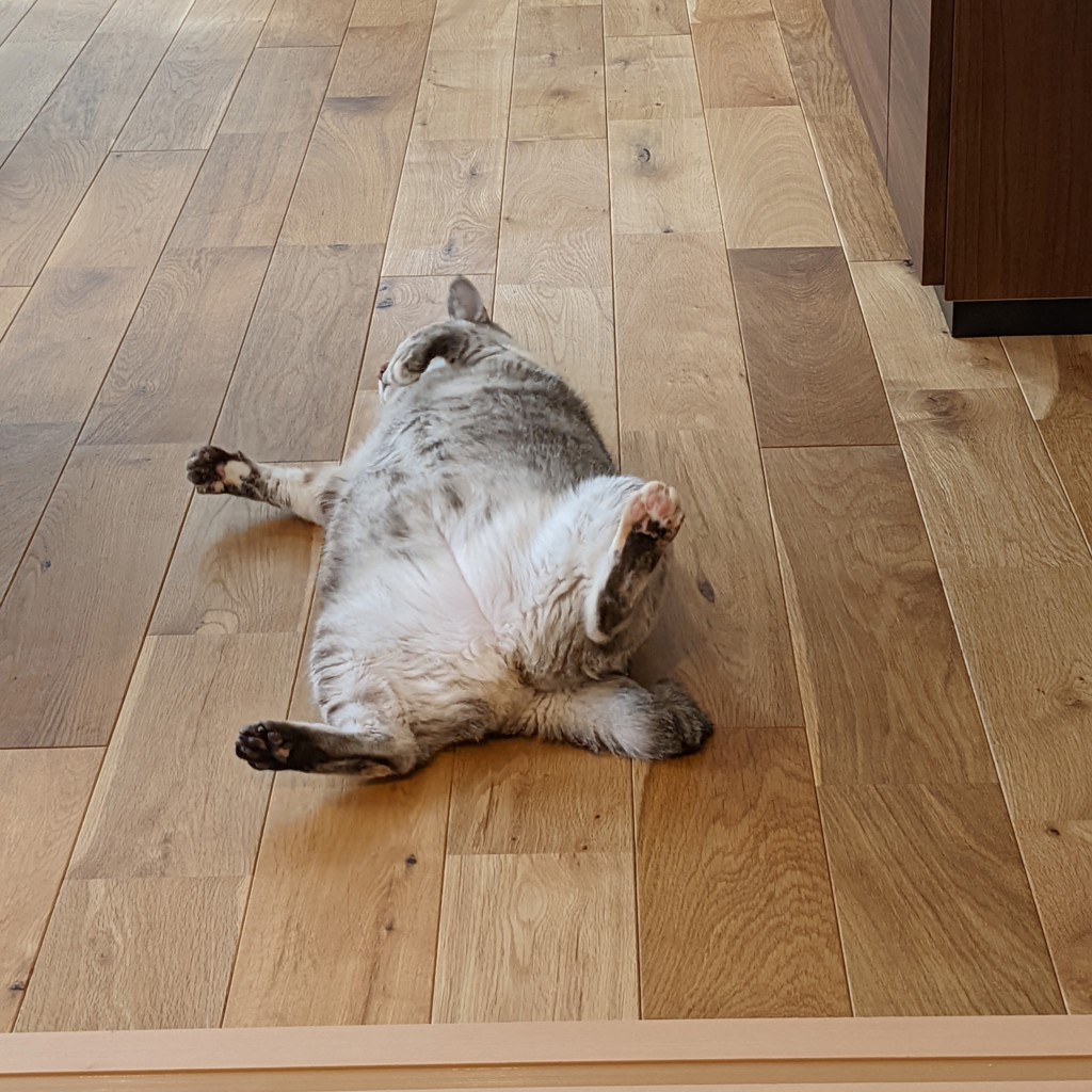 ユーザー写真