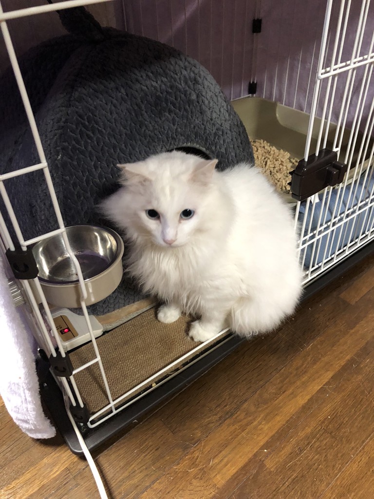ユーザー写真