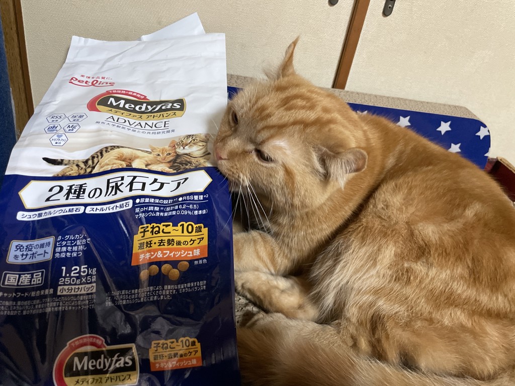 ユーザー写真