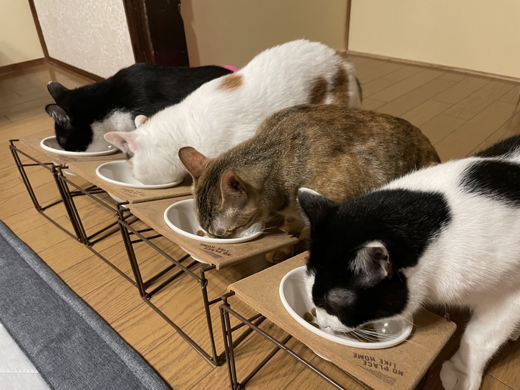 ユーザー写真