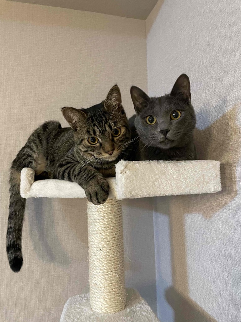 ユーザー写真