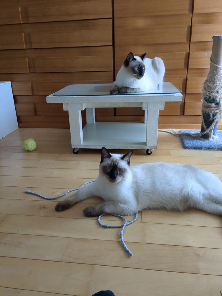 ユーザー写真