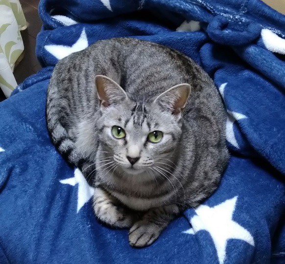 ユーザー写真