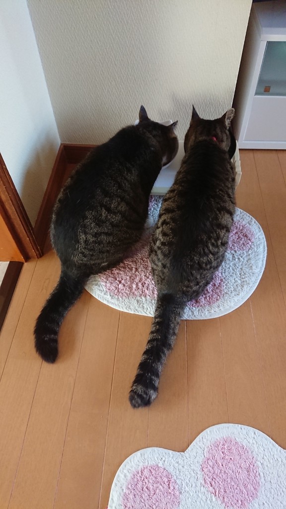 ユーザー写真