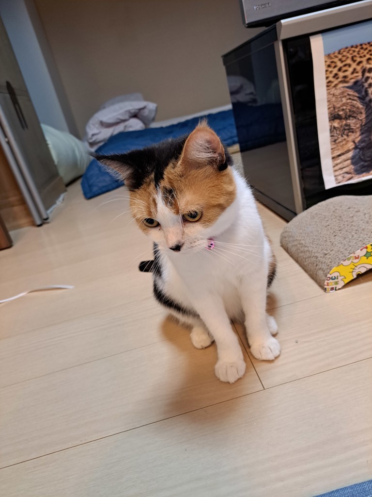 ユーザー写真