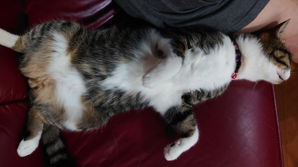 ユーザー写真