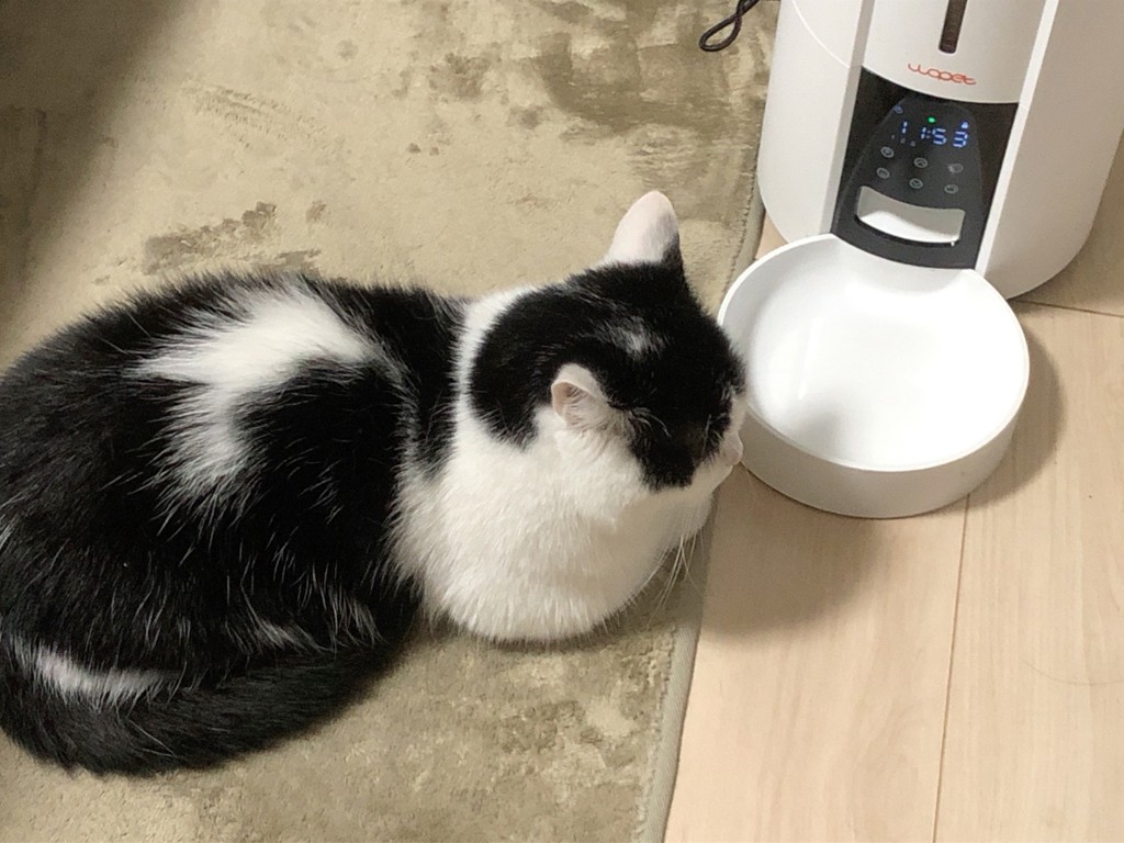 ユーザー写真