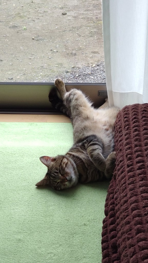 ユーザー写真