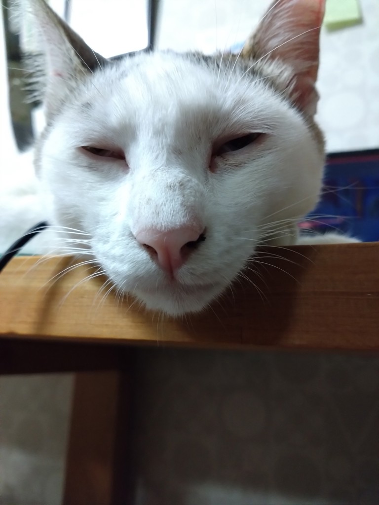 ユーザー写真
