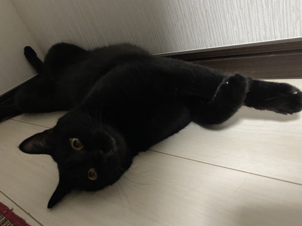 ユーザー写真