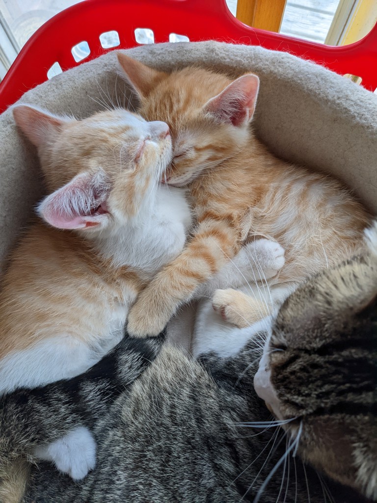 ユーザー写真
