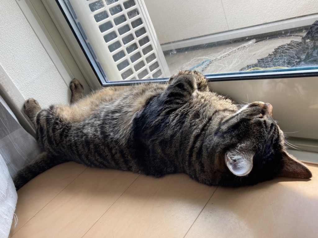 ユーザー写真