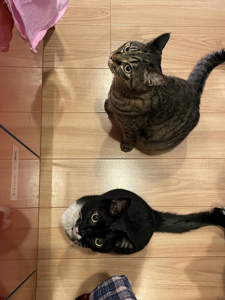 ユーザー写真