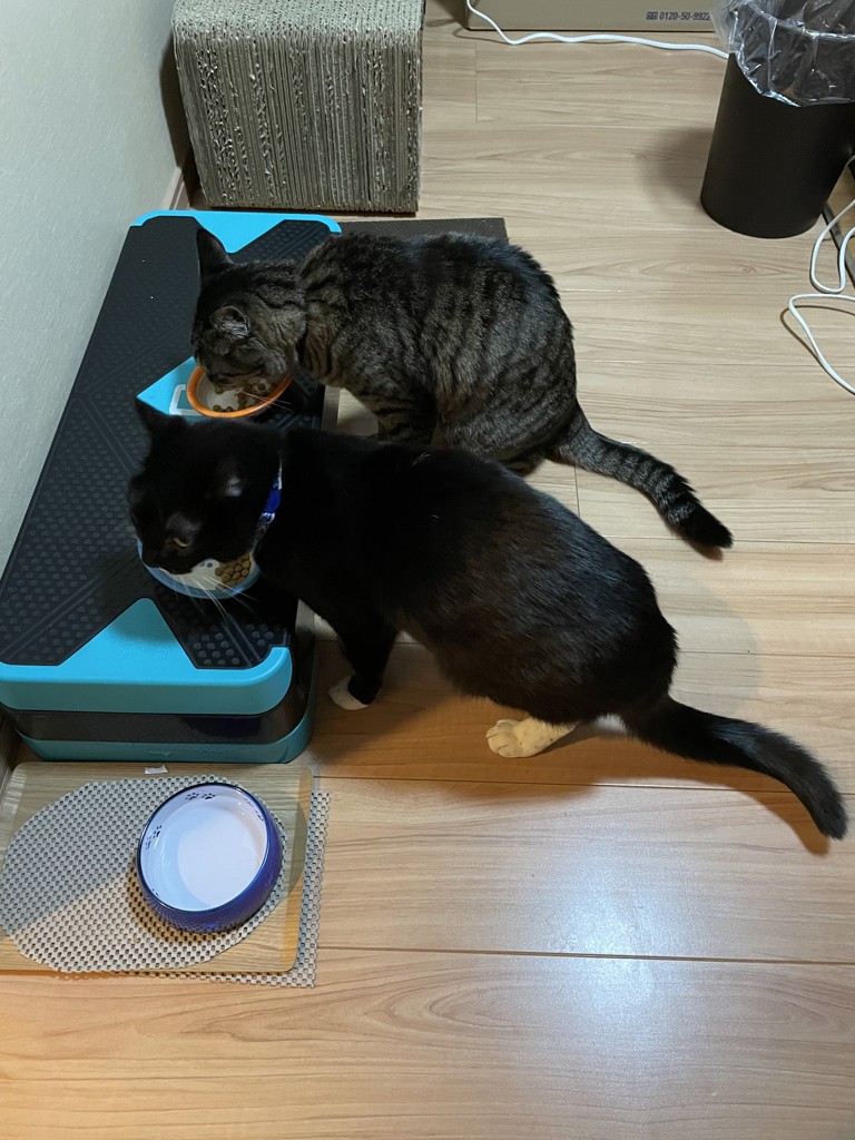 ユーザー写真