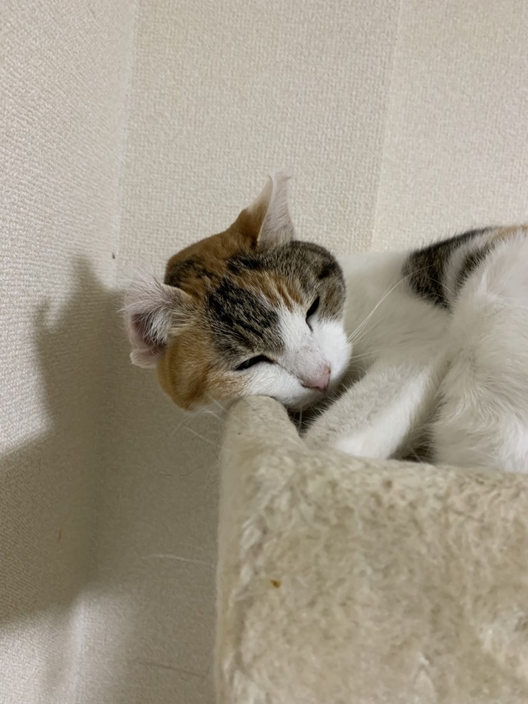ユーザー写真