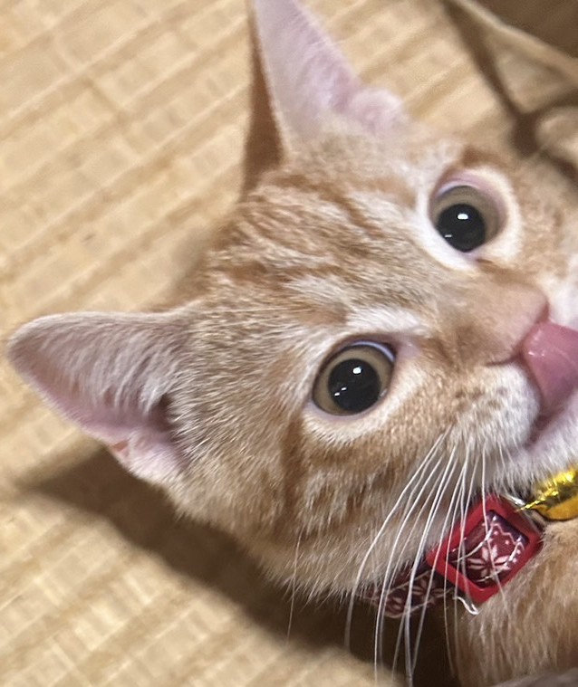 ユーザー写真