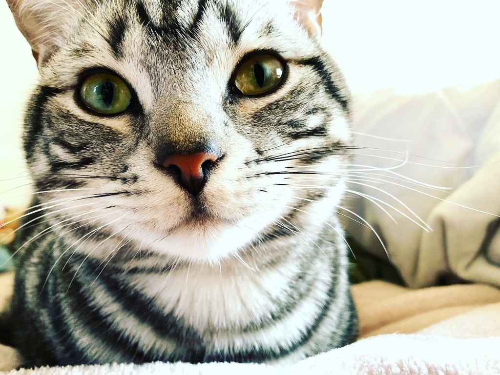 ユーザー写真