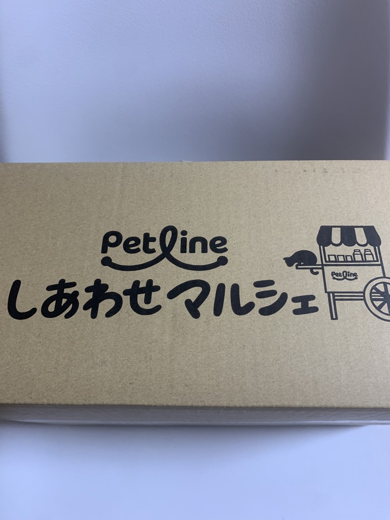 ユーザー写真