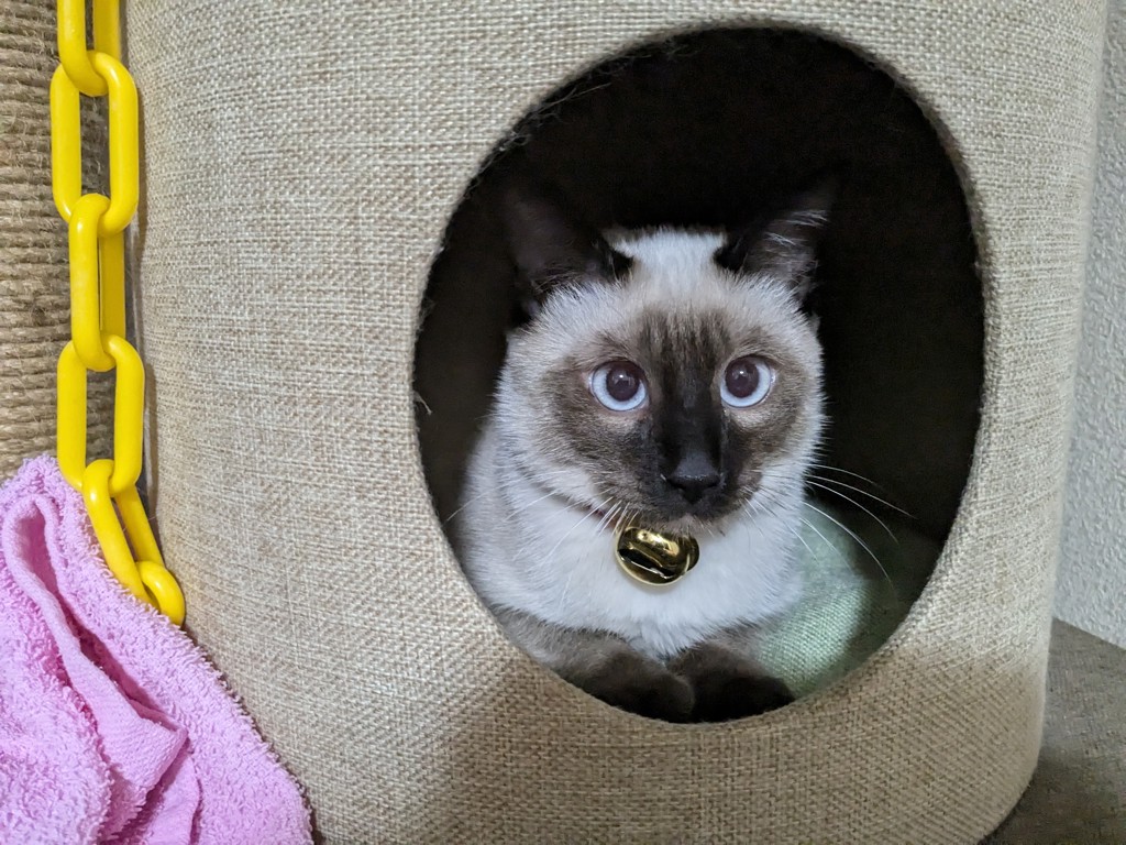 ユーザー写真