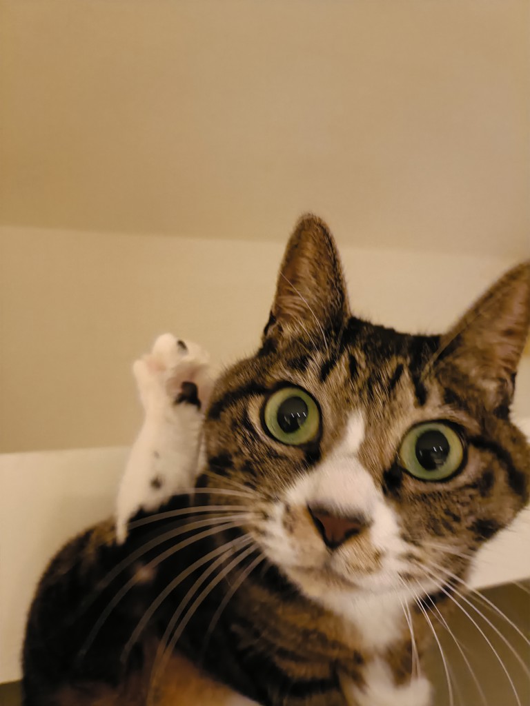 ユーザー写真
