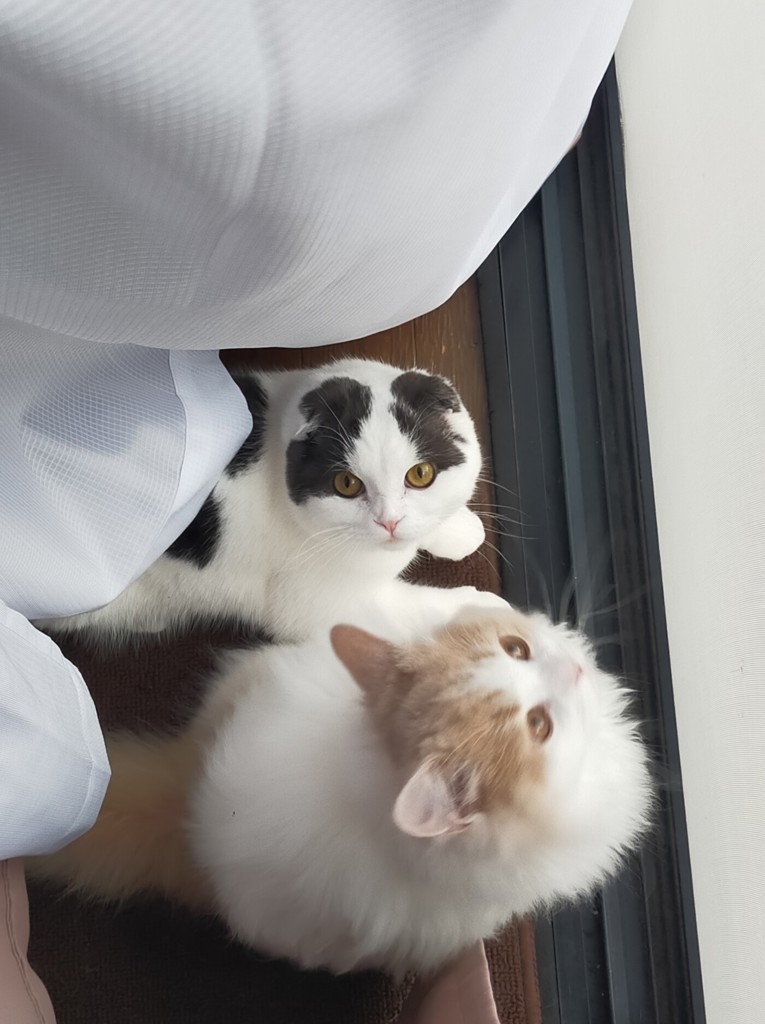投稿写真