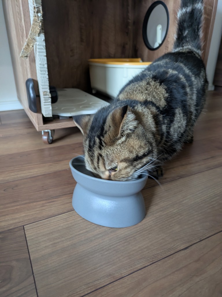 ユーザー写真