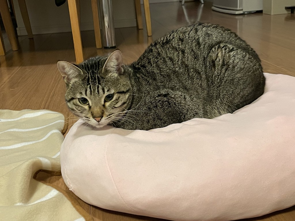 ユーザー写真