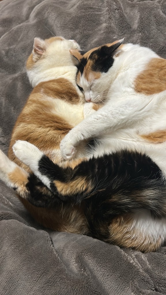 ユーザー写真