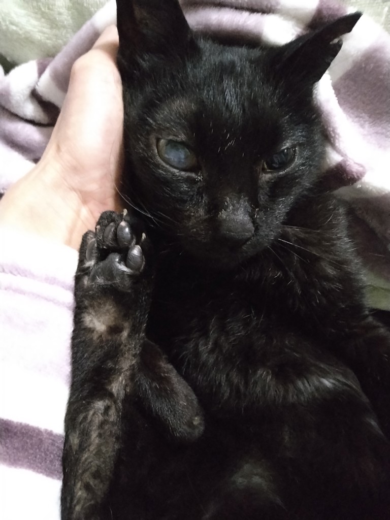ユーザー写真