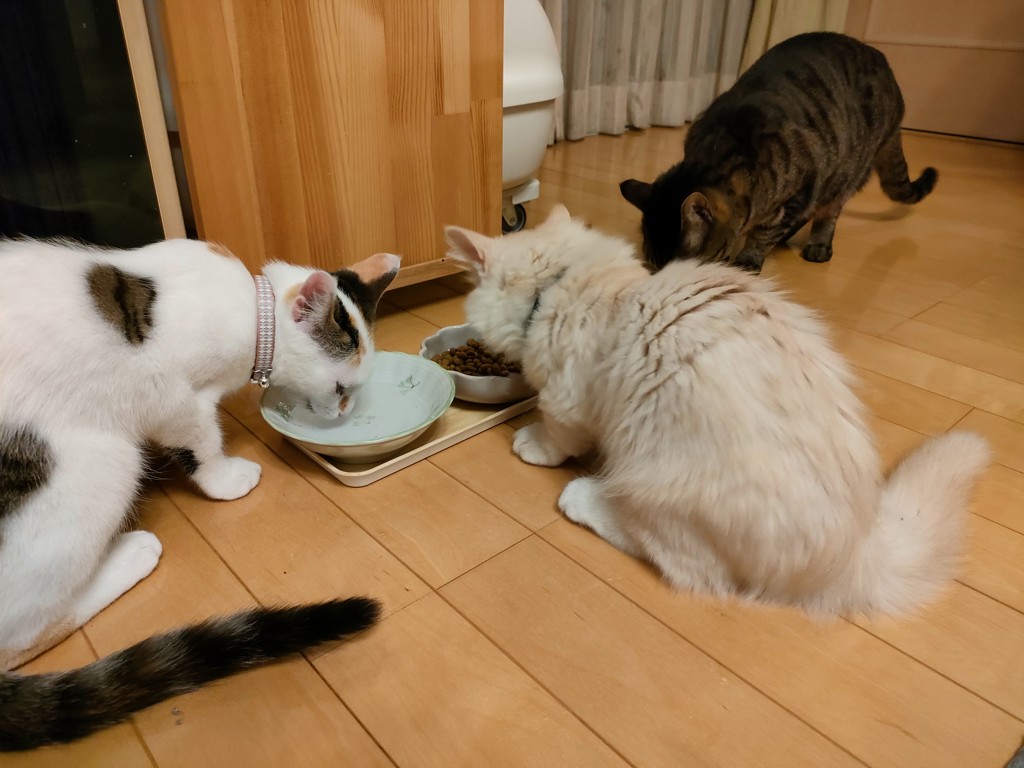 ユーザー写真