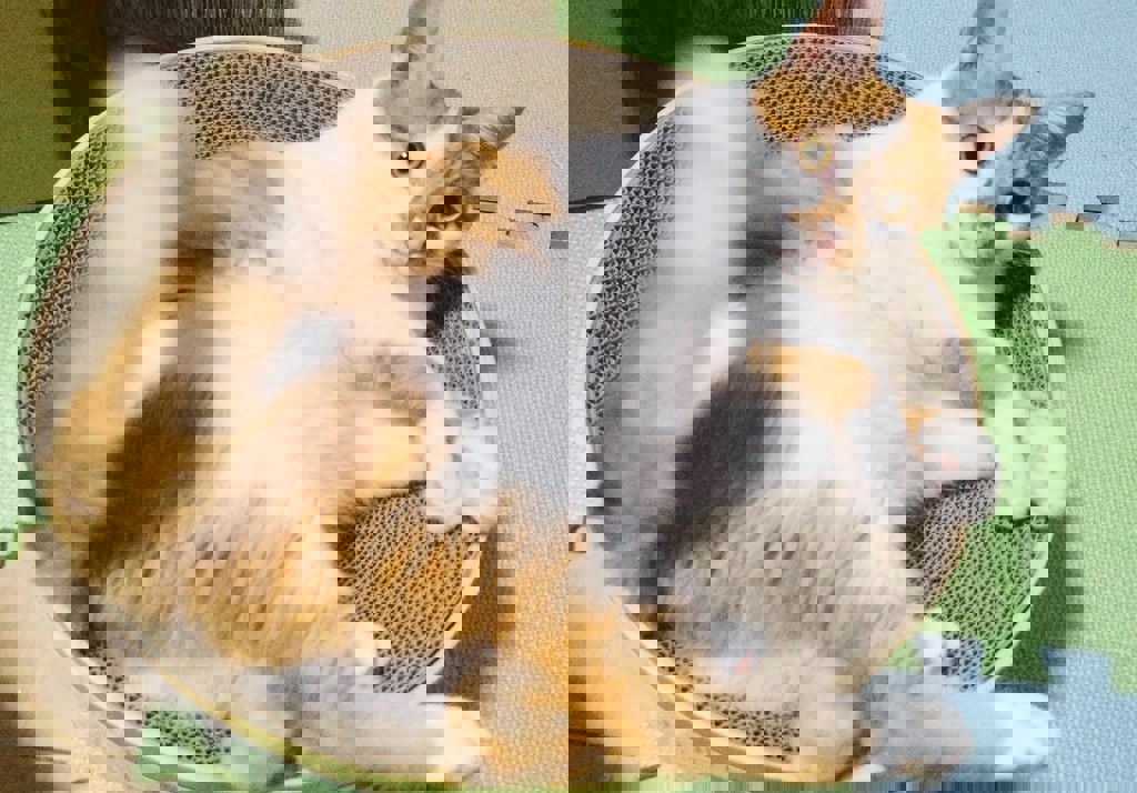 ユーザー写真