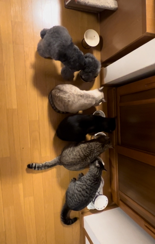 ユーザー写真