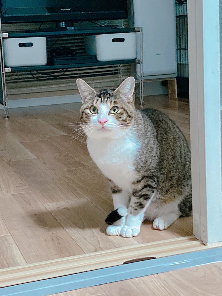 ユーザー写真