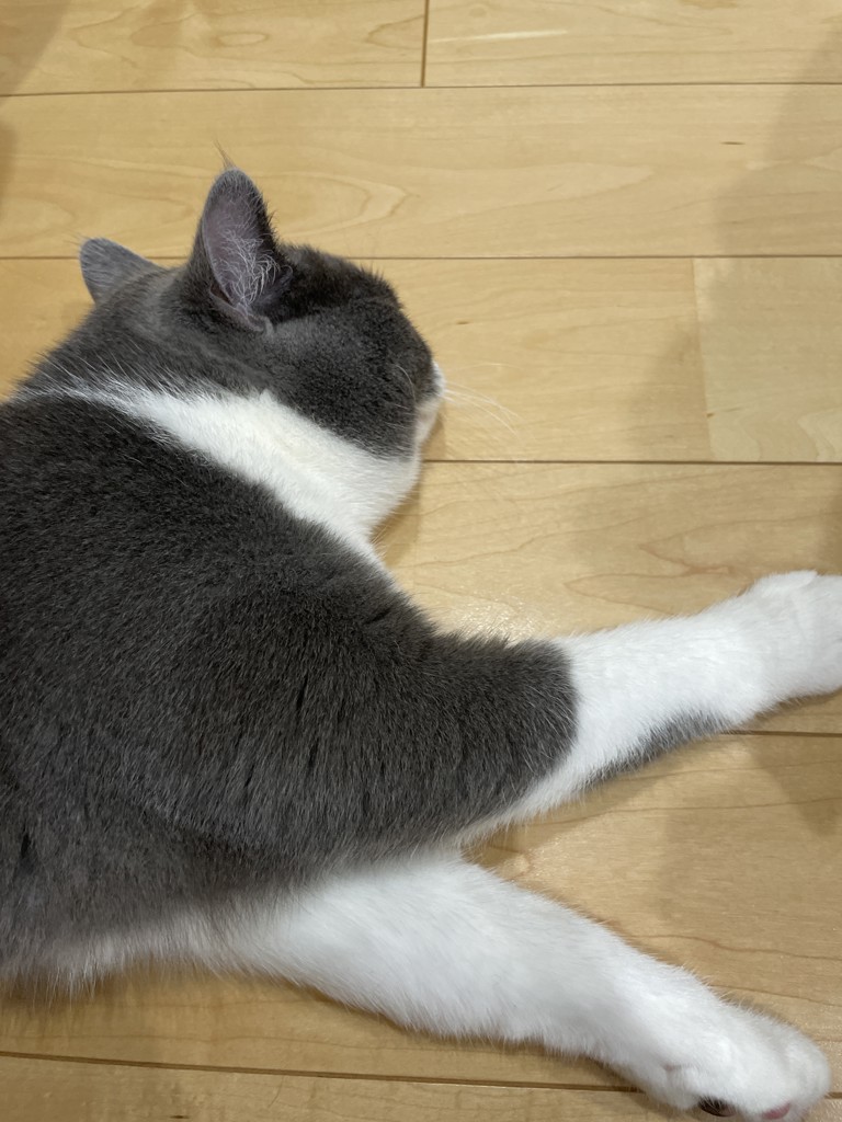 投稿写真