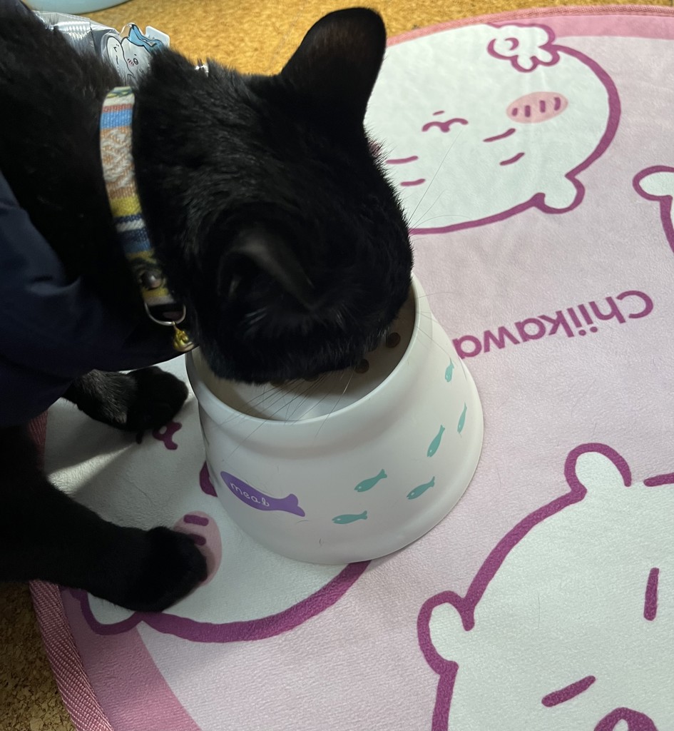 投稿写真