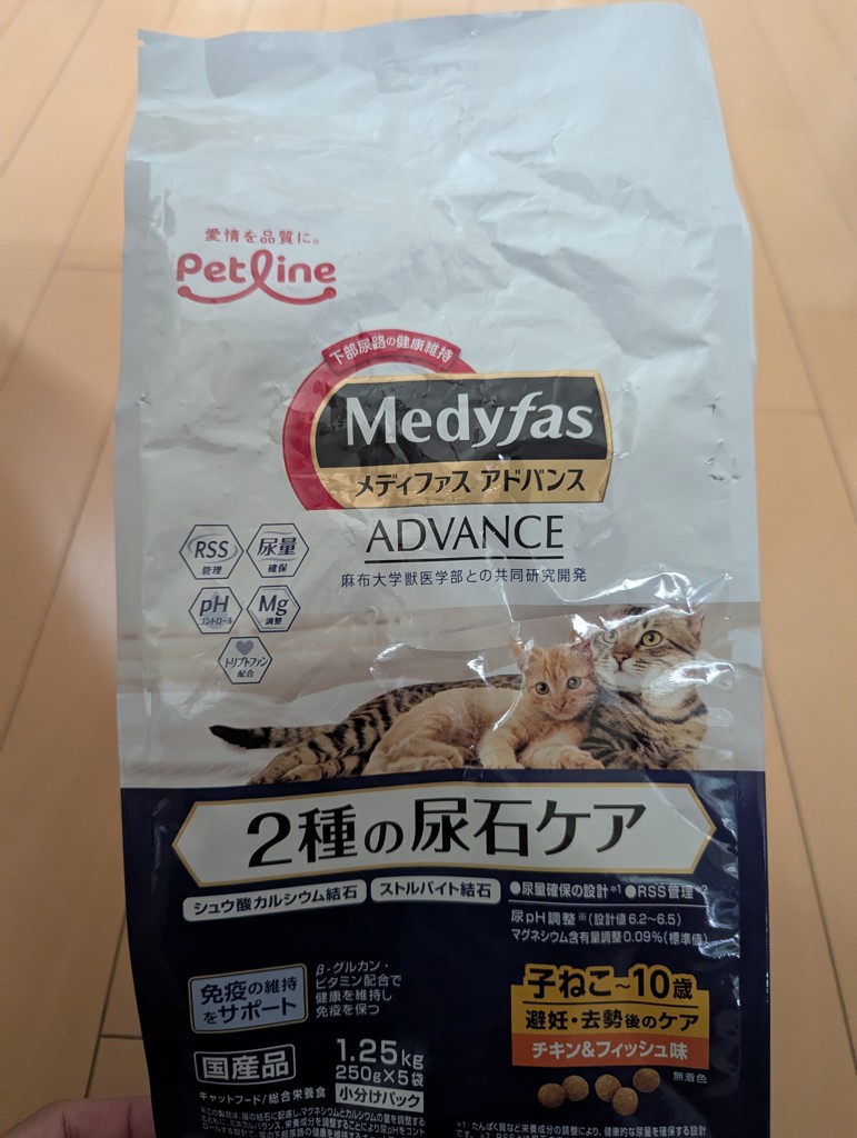 投稿写真