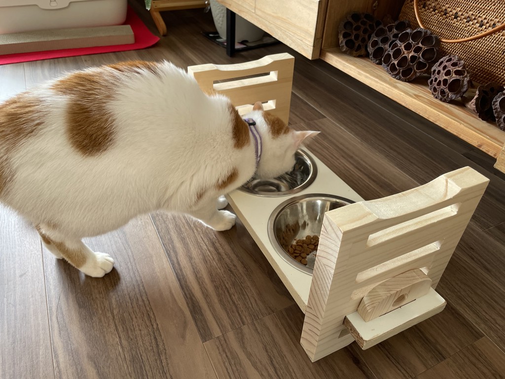 ユーザー写真
