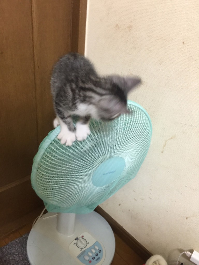 投稿写真