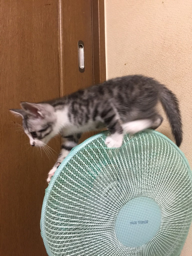 投稿写真