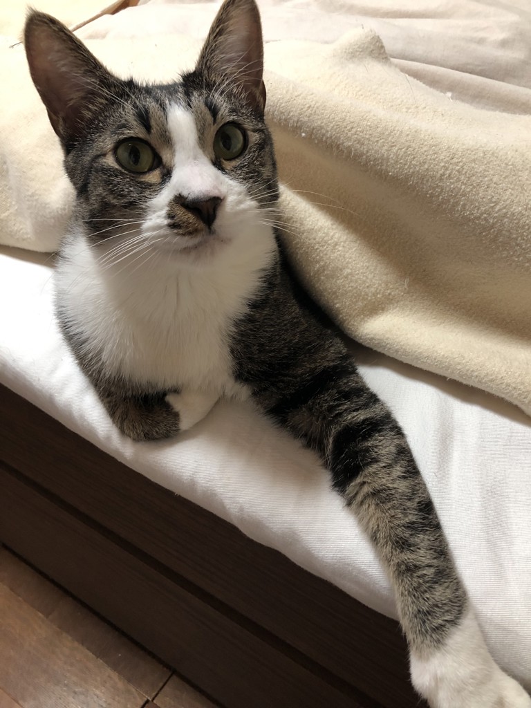 ユーザー写真