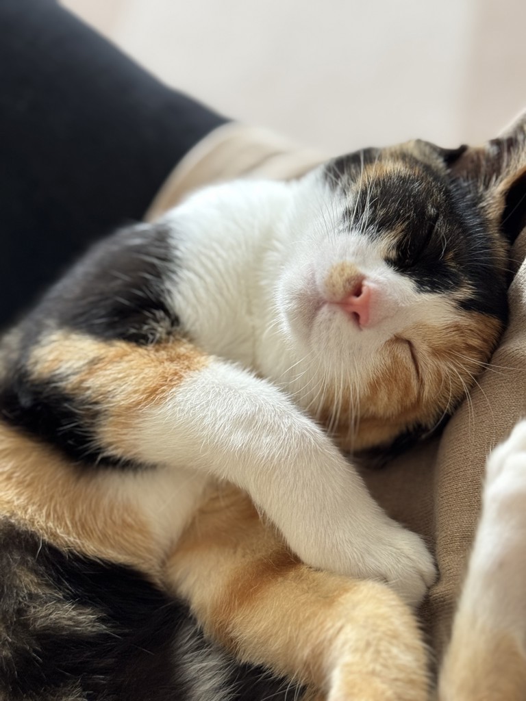 ユーザー写真