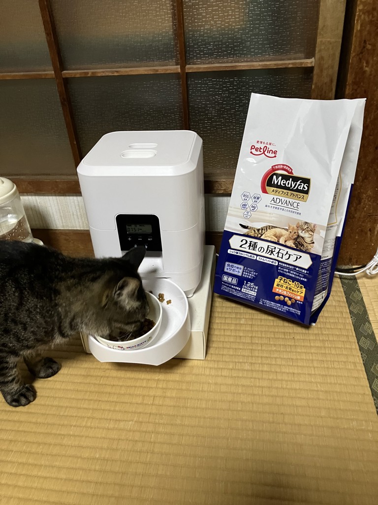 ユーザー写真