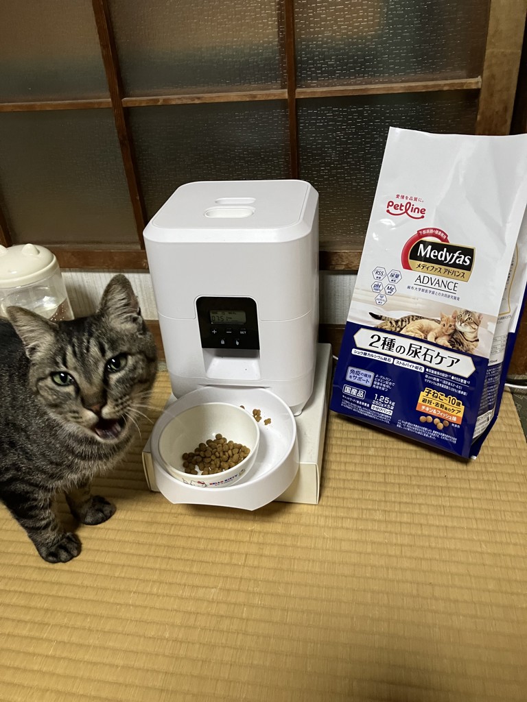 ユーザー写真