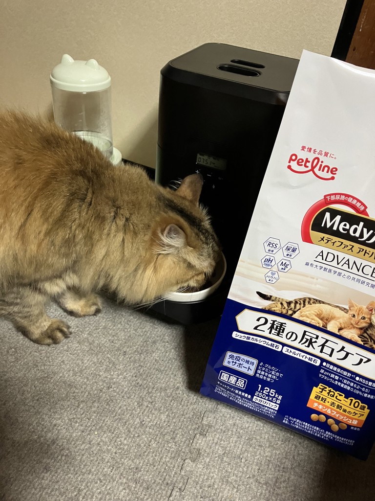 ユーザー写真