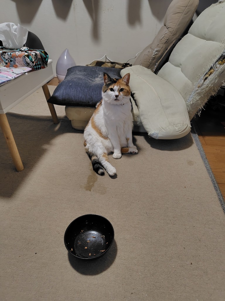 投稿写真